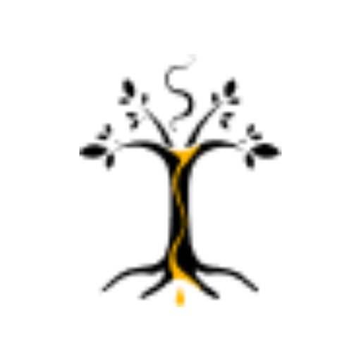 Sofia Papadopoulou avatar