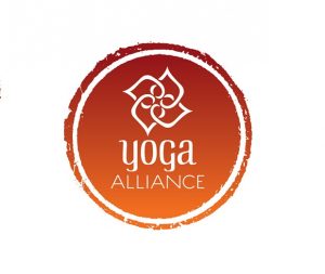 Online 200hr Vinyasa Yoga Ttc - YogaUnion Bali