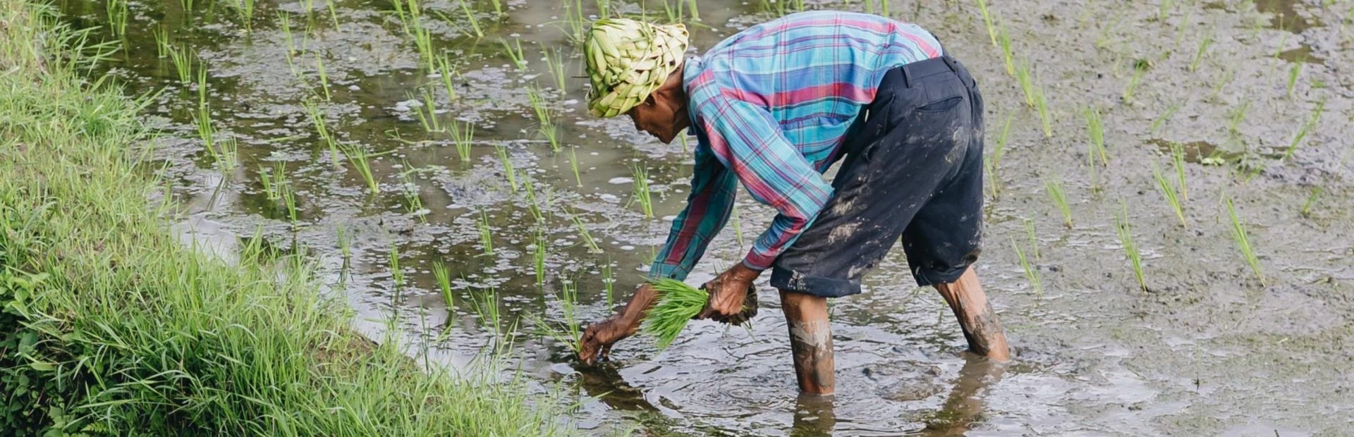 BALI 200H Hybrid - horizontal 4:3