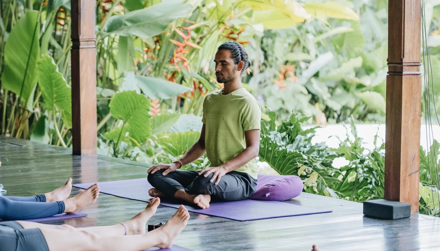 BALI 50H ART OF ADJUSTMENTS - HORIZONTAL 43