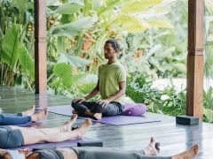 BALI 50H ART OF ADJUSTMENTS - HORIZONTAL 43