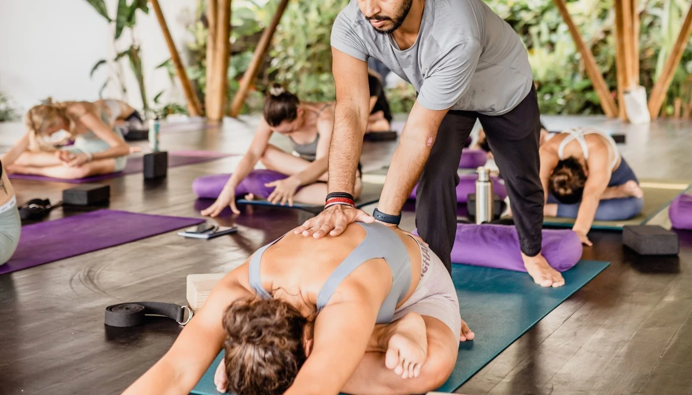 BALI 50H ART OF ADJUSTMENTS - HORIZONTAL 43