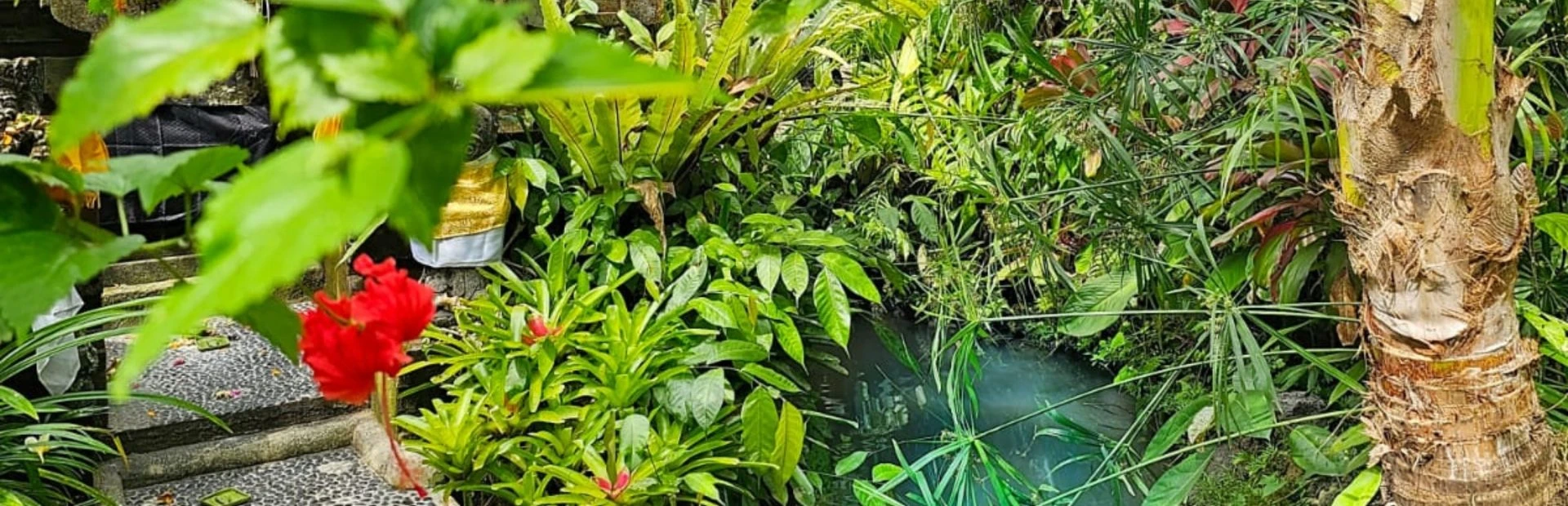 BALI 50H ASHTANGA- horizontal 43