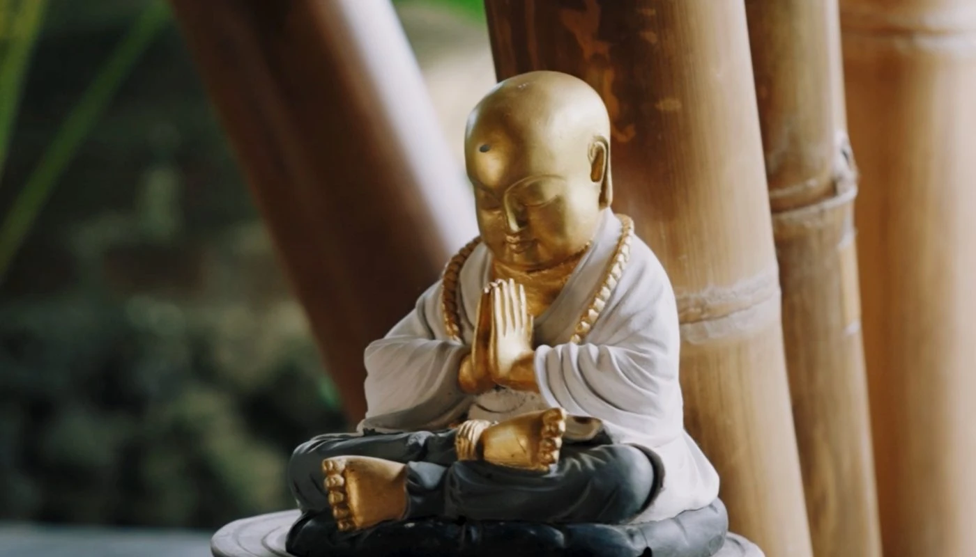 BALI 50H ASHTANGA- horizontal 43