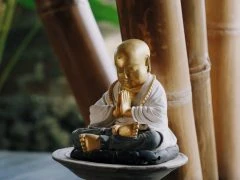 BALI 50H ASHTANGA- horizontal 43