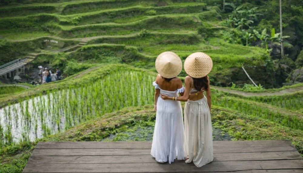 BALI 50H HYBRID HORIZONTAL 43