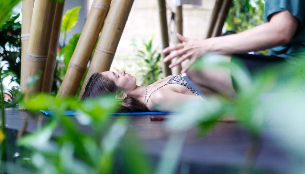 Holistic Curriculum & Embodied Practice