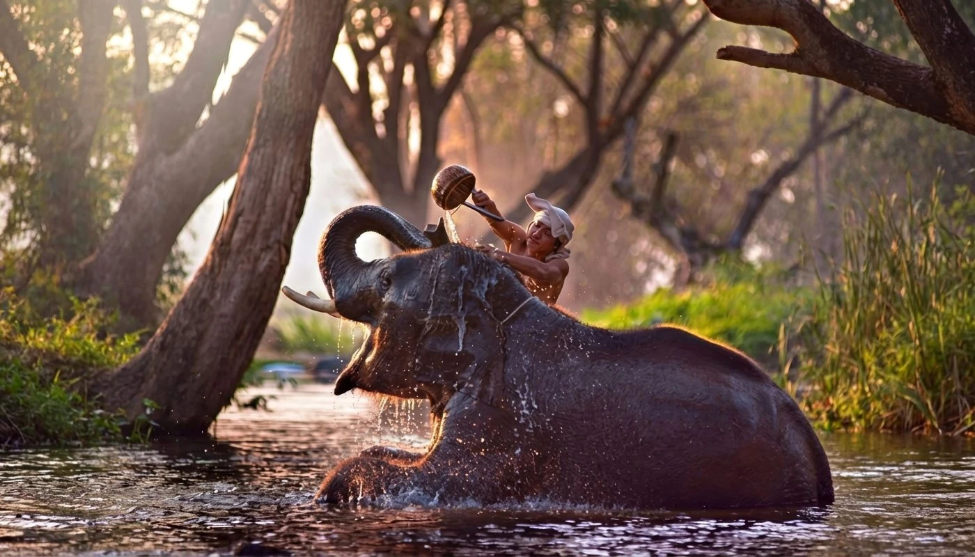 INDIA-RETREAT PHILOSOPHY-50H