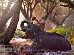 INDIA-RETREAT PHILOSOPHY-50H