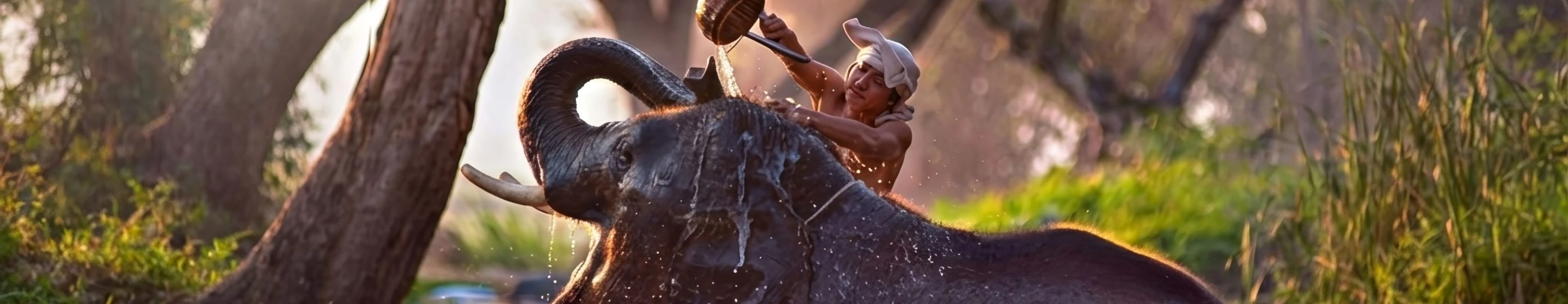 INDIA-RETREAT PHILOSOPHY-50H